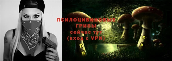 apvp Балахна