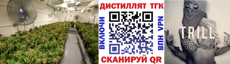 Купить  Гусиноозёрск  ТГК Wax 