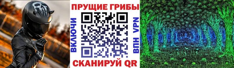 Купить  Гусиноозёрск  Псилоцибиновые грибы MAGIC MUSHROOMS 